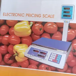 Camry Electronic Pricing (Platform) Scale