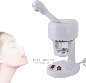Brand New Portable Mini Paragon Facial Steamer