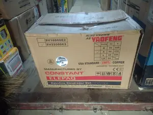 Elepaq Constant 10kva Key Start 100% Copper Gen (SV22000E2)