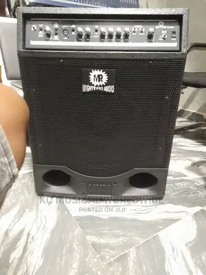 Mighty Pro Audio Bass Combo Specifically For Bass Guitar