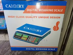 30kg Camry Electronic Price Computing LCD Digital Commercial