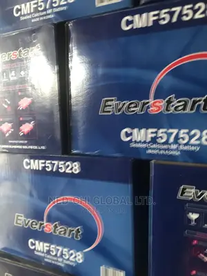 Everstart 12v 75ahs Heavy Duty Battery