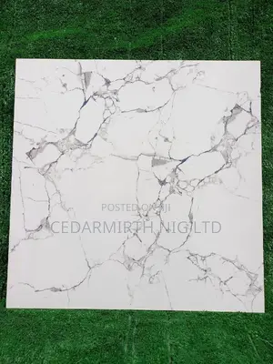 White Thunder/Carrara Tiles