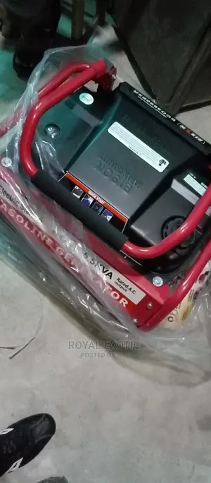 5.5kva Bison Generator With Remote Control and Key Starter