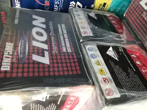 Original Battery 75ahs Lions Battery for Every Car