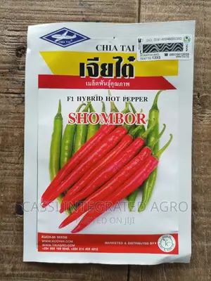 2g Shombo F1 Chilli Pepper