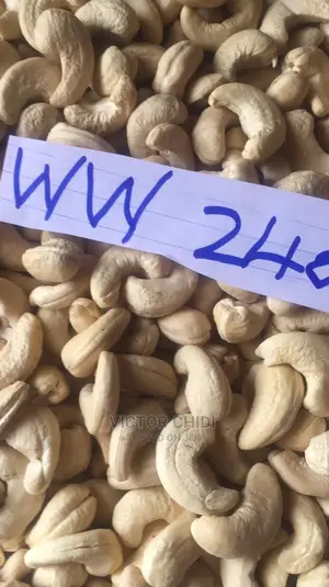 Processed Cashew Nuts.