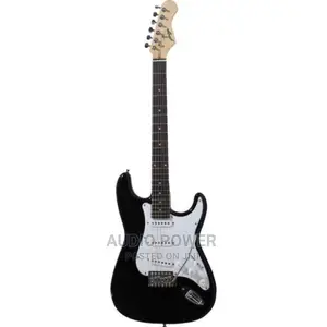 Professional Electric Lead Guitar