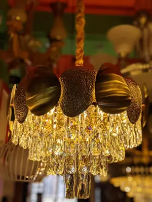 Turkish Vip Schanderlia