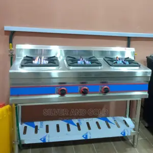 Industrial 3 Burner Gas Cooker Standing One