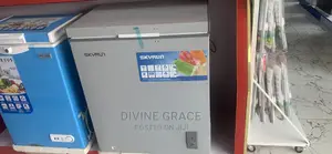 145litres Skyrun Freezer