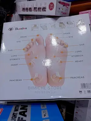 Electronic Pulse Massager