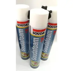 Soudal Sealant Pu Expanding Foam - 6