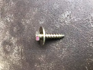 Drilling Screw