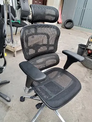 Office Chairs (Orthopedic)