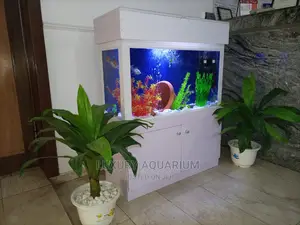 Luxury Aquariums Ng