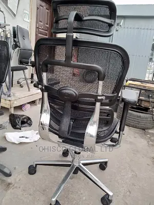 Office Chairs (Orthopedic)
