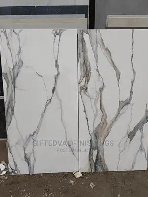 60X120 High Quality Spanish Tiles.