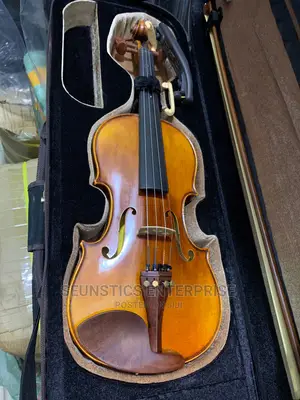 Quality Scott Cao STV-017E Concert 4/4 Violin