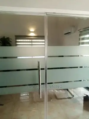 Swing Door Frameless