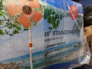 Buy the Best 18" Standing Fan