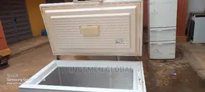 Bosch German Freezer With Thick Body for Frozen Food