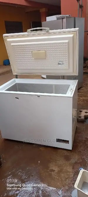 Bosch German Freezer With Thick Body for Frozen Food