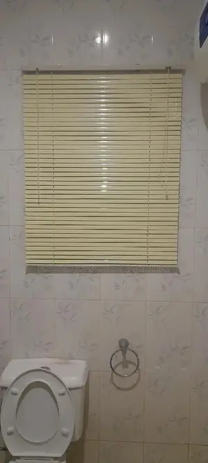 Toilet Window Blinds