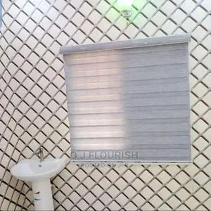Silver Window Blinds