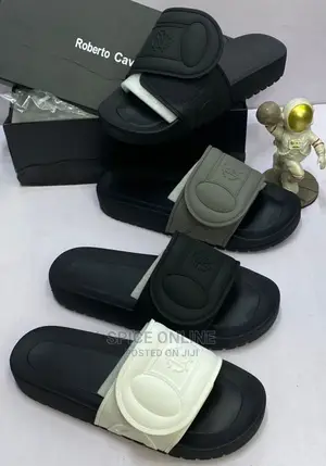 MP: Roberto Cavalli Slides