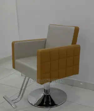New Imported Leather Saloon Chair