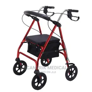 Easily Folds Original Rollator