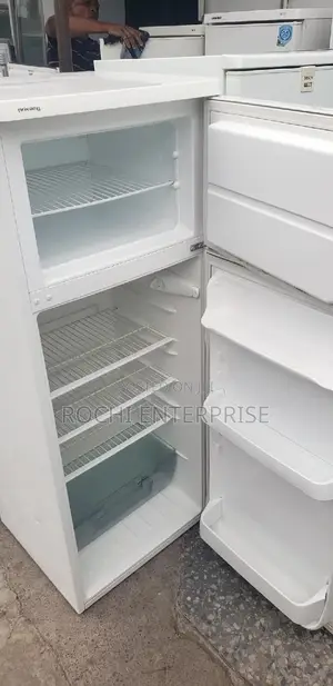 Fridge With Freezer