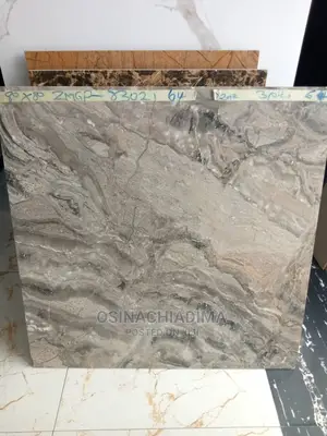 Quality China 80x80 Floor Tiles