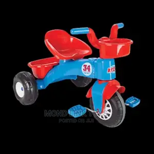 This Is Atoom Tricycle for Kids