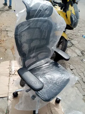 Office Chairs (Orthopedic)