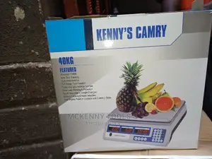 Crane Scale Kenny Camry 40kg Features Accuracy:1/3000