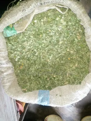 Moringa Leaves for Sale