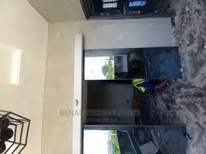 Affordable Entrance Automatic Sensor Door Ojodu