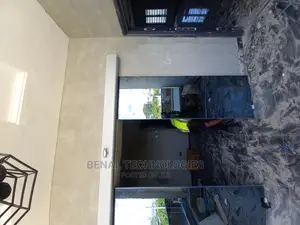 Effective Automatic Entrance Sensor Door in Oshodi
