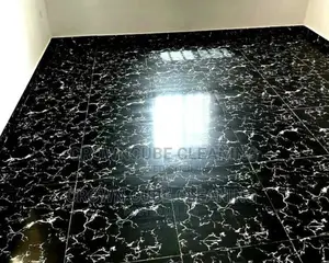 General House Cleaning Services ! House Experts