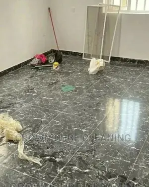 House Cleaning Services Professional