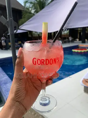 Acrylic Wine / Cocktail Cup