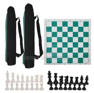 Portable Professional Chess Board Game With Carry Bag