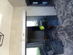 Very Effective Automatic Entrance Sensor Door in Ota