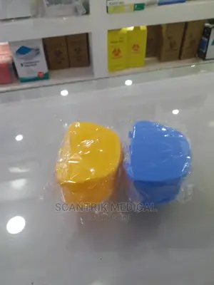 Medical Apple Shape Denture Bath Box Case Dental False Teeth