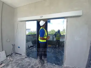 Affordable Entrance Automatic Sensor Door Egor