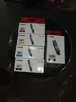 Canon Ink 480/481