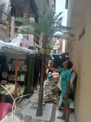 Artificial Coconut Flower Plant
