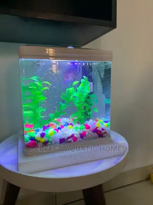Aquarium Desktop